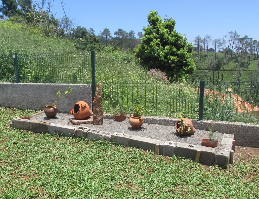 Casa Formiga Fajã da Ovelha Exterior foto
